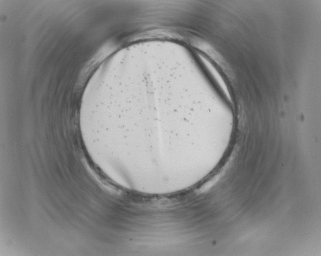 X0000077371233200611171941