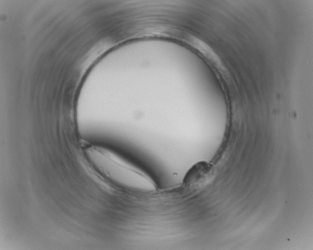 X0000077371234200611171941