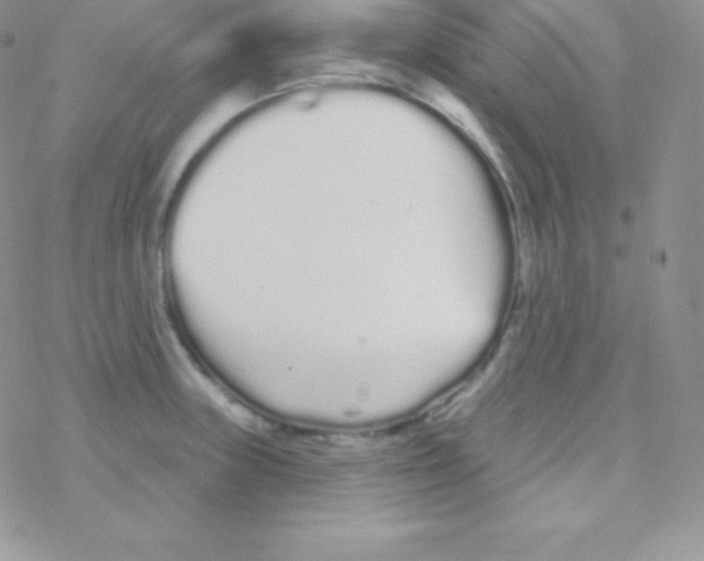 X0000077371235200611171941