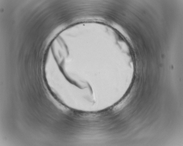 X0000077371237200611171941