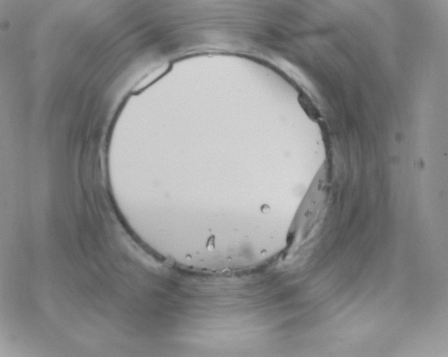 X0000077371238200611171941