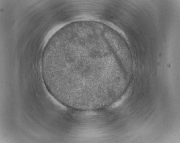 X0000077371239200611171941