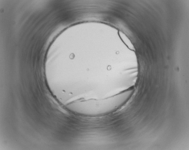 X0000077371240200611171941