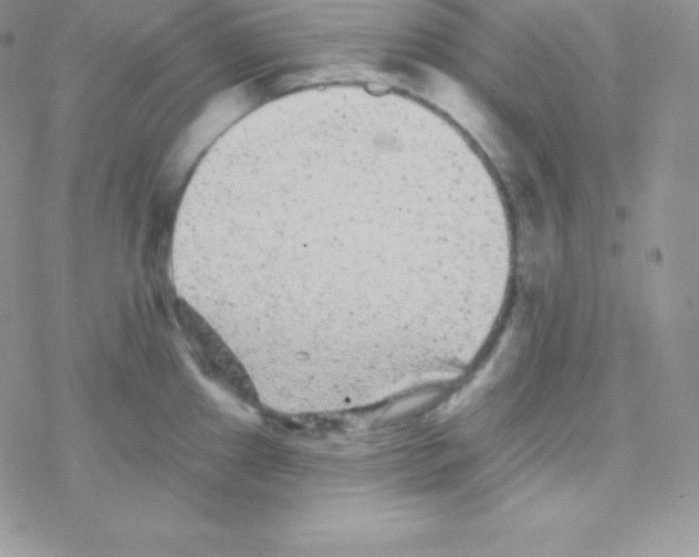 X0000077371241200611171941