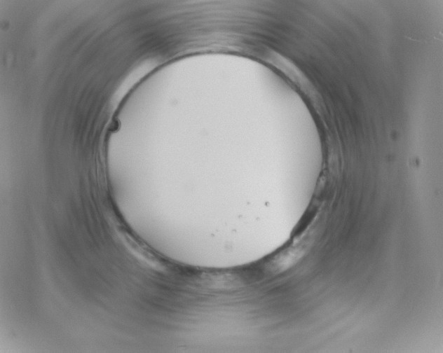 X0000077371242200611171941