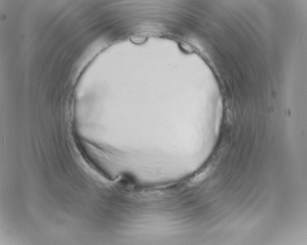 X0000077371243200611171941