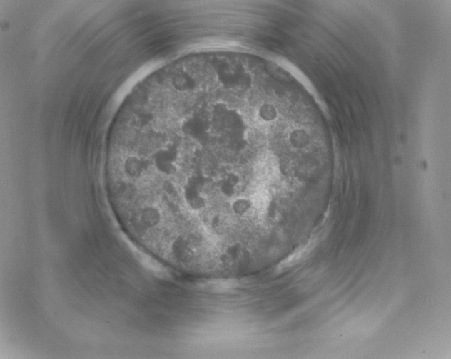 X0000077371245200611171941