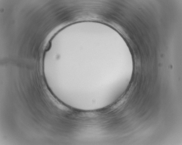 X0000077371246200611171941