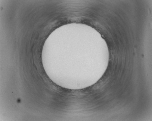 X0000077371249200611171940