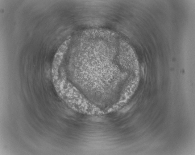 X0000077371251200611171940