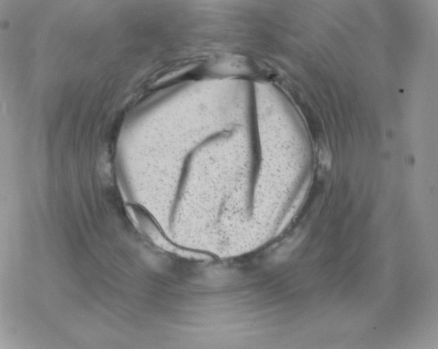 X0000077371252200611171940