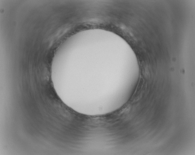 X0000077371253200611171940