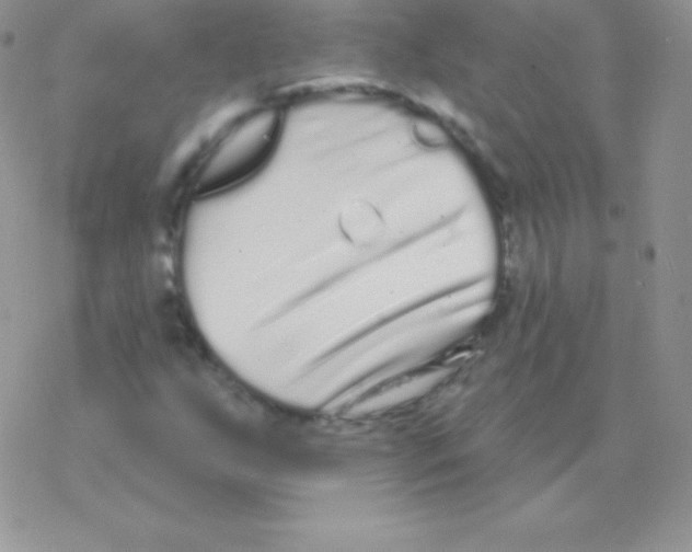 X0000077371255200611171940