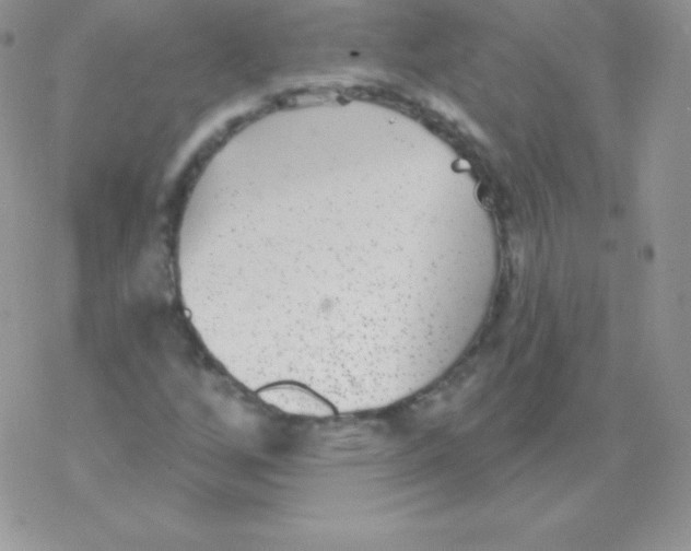 X0000077371256200611171940