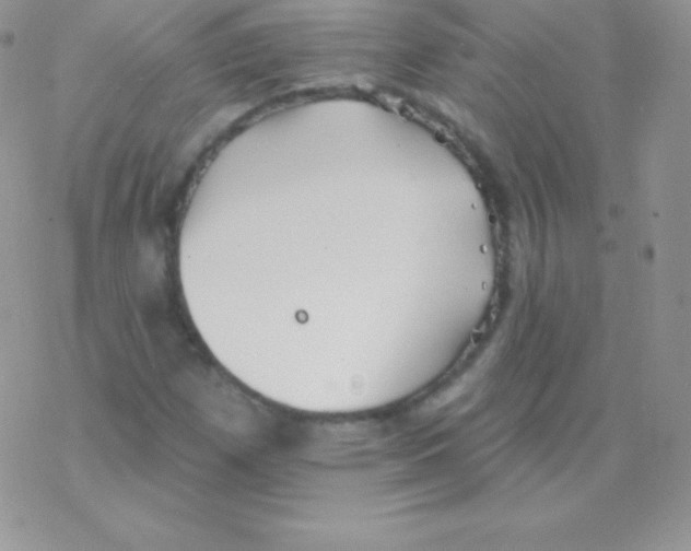 X0000077371257200611171940