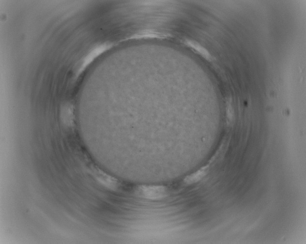 X0000077371258200611171940