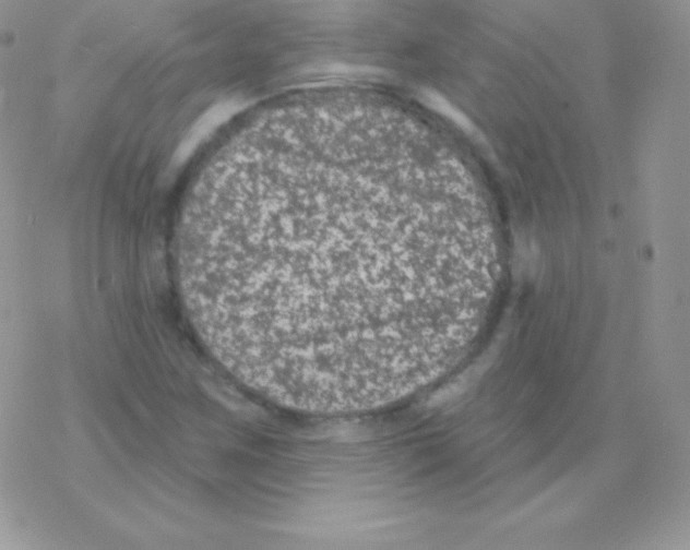 X0000077371259200611171940