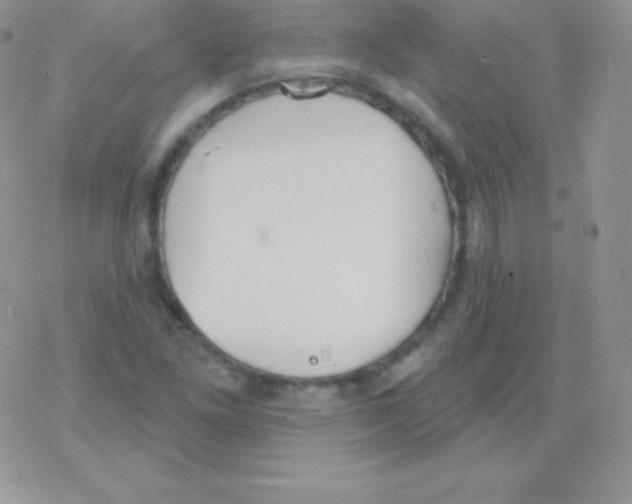 X0000077371261200611171940