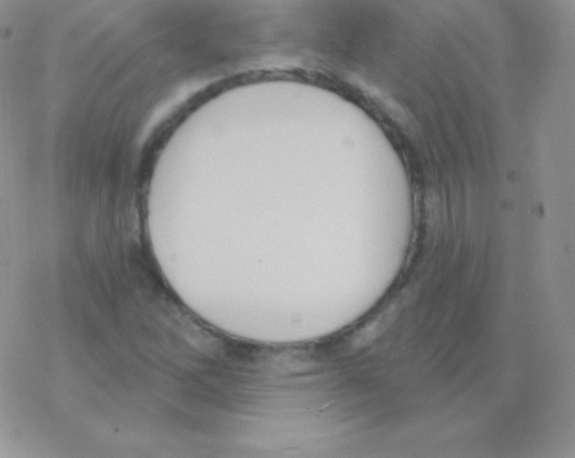 X0000077371262200611171940