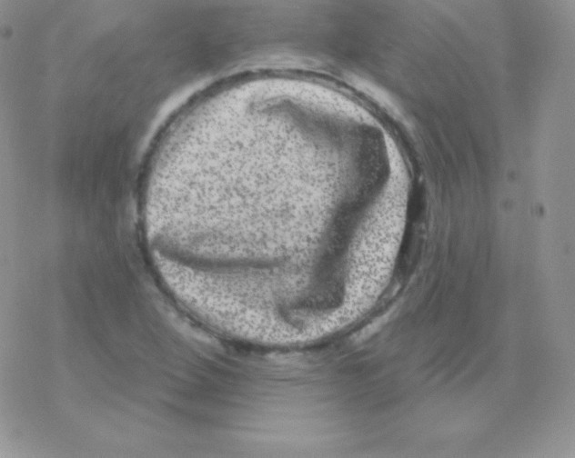 X0000077371264200611171940