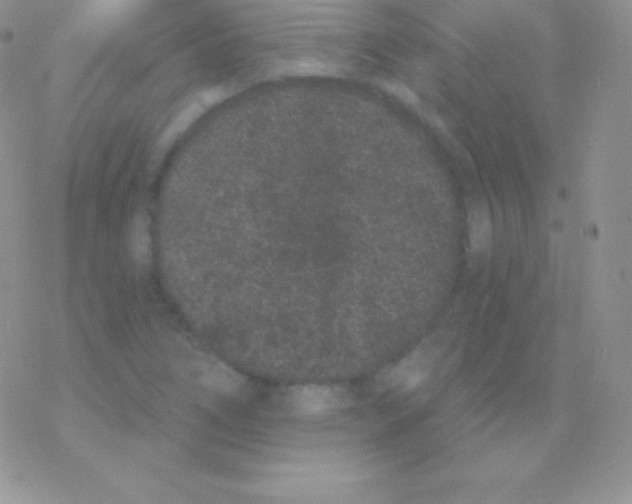 X0000077371266200611171940