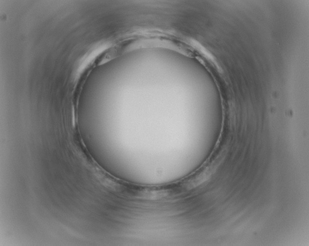 X0000077371269200611171940