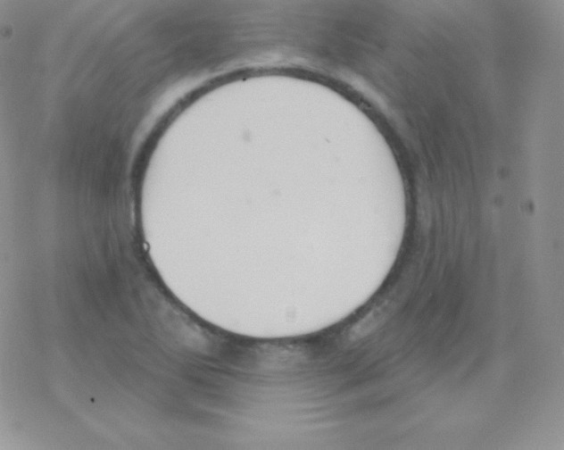 X0000077371270200611171940