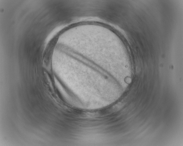 X0000077371271200611171940