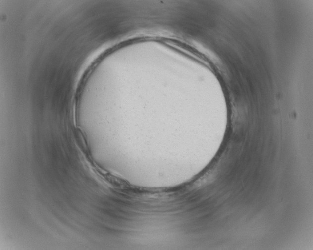 X0000077371272200611171940