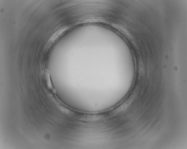 X0000077371273200611171940