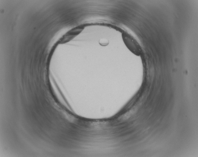 X0000077371277200611171940