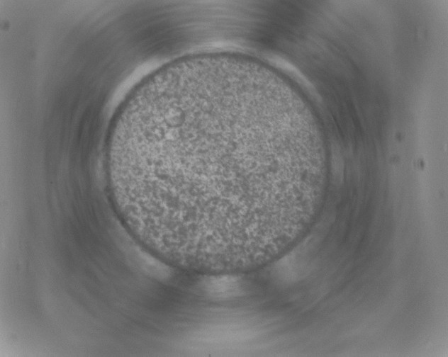 X0000077371278200611171940