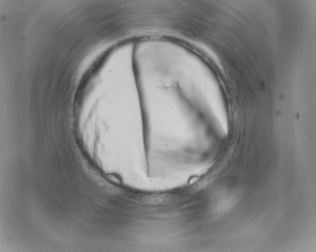 X0000077371279200611171940