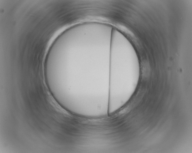 X0000077371280200611171940