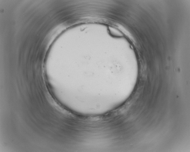 X0000077371283200611171940