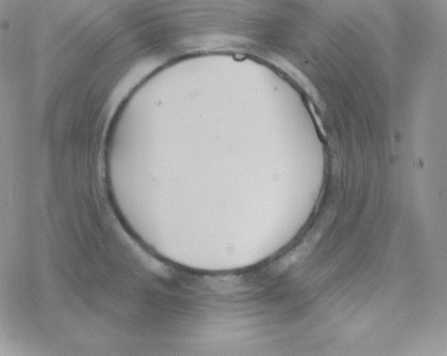 X0000077371285200611171940