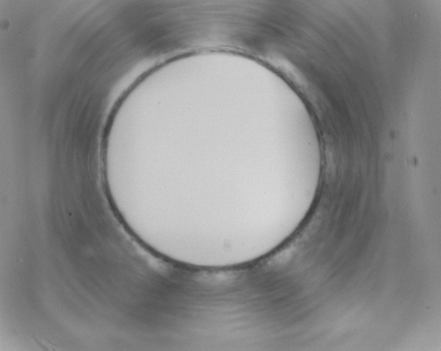 X0000077371286200611171940