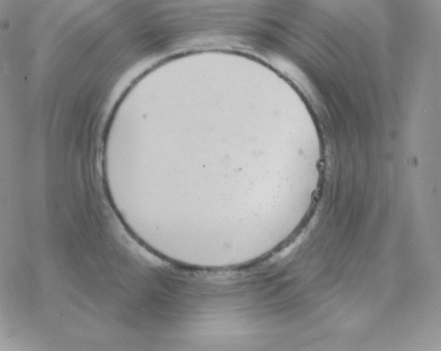 X0000077371288200611171940