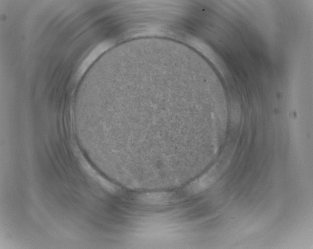 X0000077371290200611171939