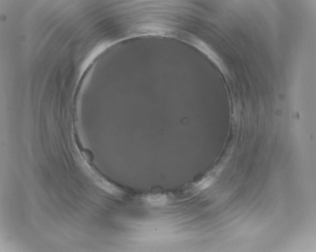 X0000077371291200611171939