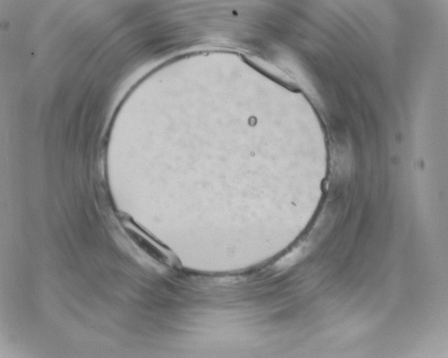 X0000077371292200611171939