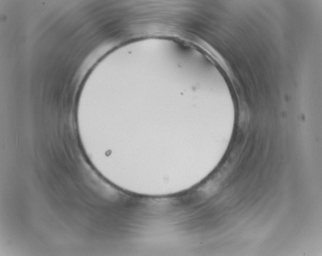 X0000077371293200611171939