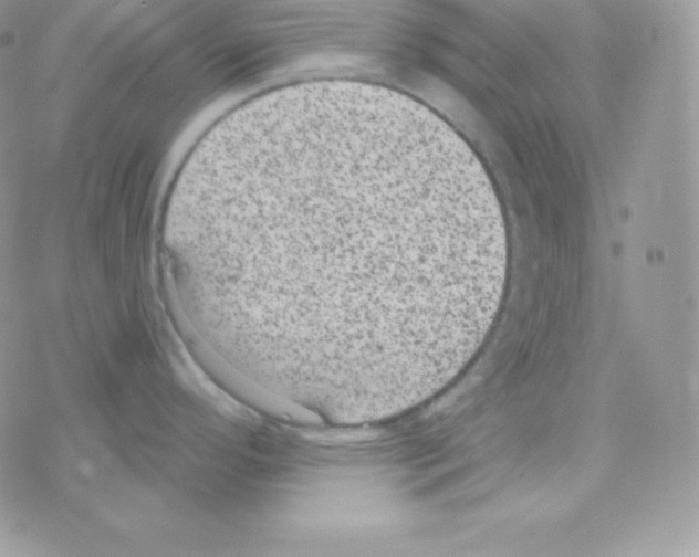 X0000077371296200611171939