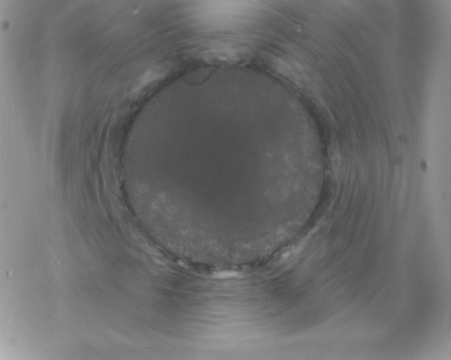 X0000077371297200611171939