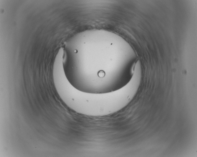 X0000077371298200611171939