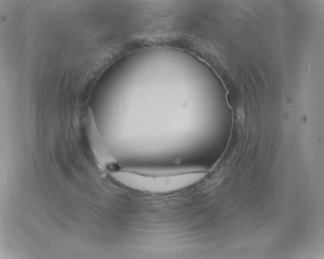 X0000077371300200611171939