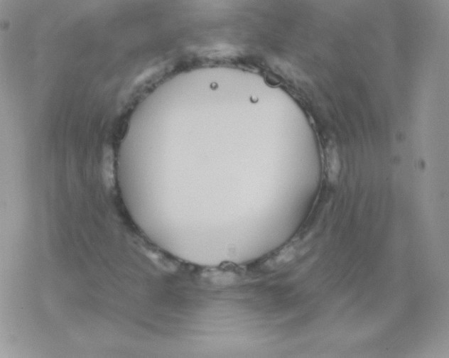 X0000077371301200611171939