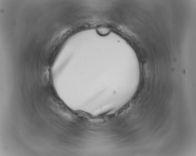 X0000077371302200611171939