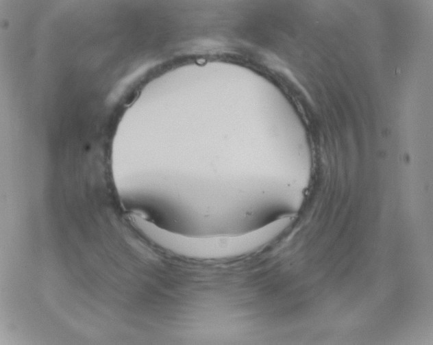 X0000077371304200611171939