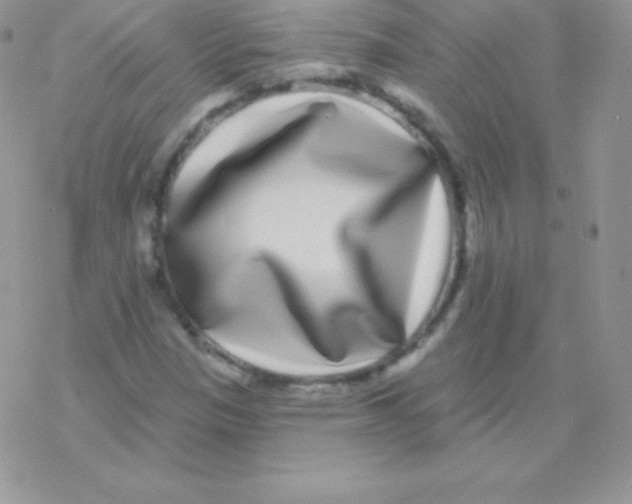 X0000077371305200611171939